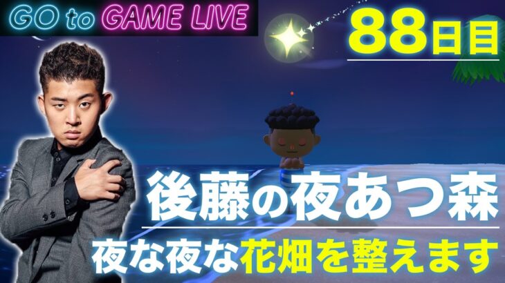 【後藤の夜あつ森】花畑の整理でもしようと思います