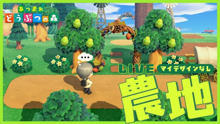 【あつ森】マイデザインなし島クリ第２弾🏝️ 可愛い農地作るぞ～【島クリ雑談】