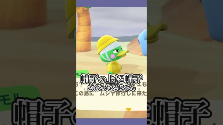 かっぱのせいで分からん！！！ #あつ森  #あつまれどうぶつの森  #女性ゲーム実況