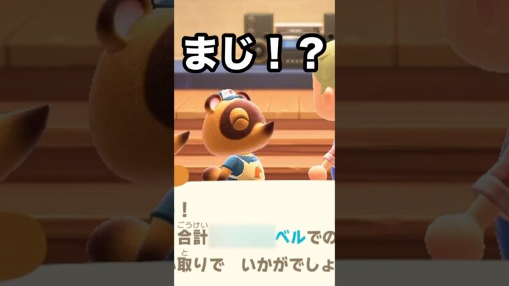 【あつ森】カブ価！！過去最高額が出てた！