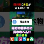 【あつ森】いつも全然本物ないのに!!ｗｗｗ