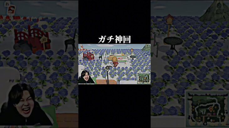 フルはこちら↑#あつ森 #ゆきドラ
