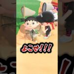 【#あつ森 】参加型虫取り大会の配信が白熱し過ぎた🐛🐞#あつまれどうぶつの森 #どうぶつの森