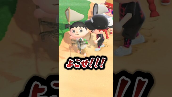 【#あつ森 】参加型虫取り大会の配信が白熱し過ぎた🐛🐞#あつまれどうぶつの森 #どうぶつの森