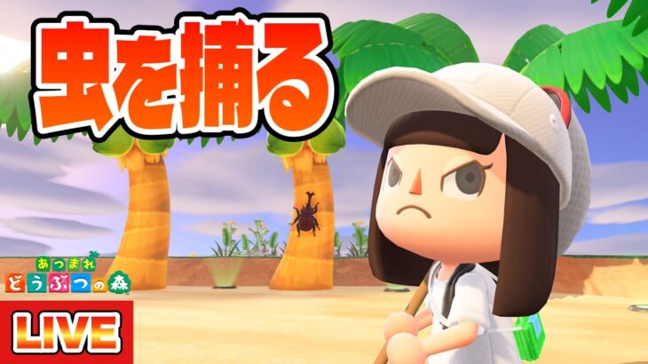 【あつ森】虫図鑑コンプリート配信始動！！！名前が長い虫たちを捕まえまくるぞ！【あつまれどうぶつの森】