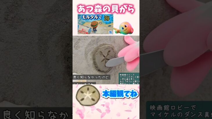 壁にあつ森の貝がら（サンドダラー）をモルタルで実装！ #庭作業 #リアルあつ森