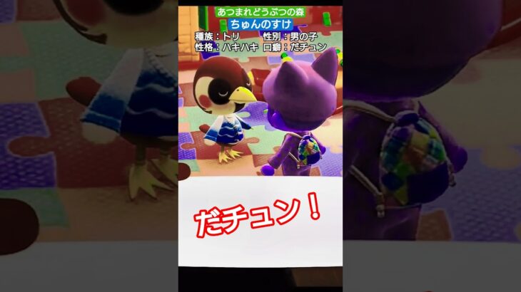 【#あつ森 】ちゅんのすけ【#あつまれどうぶつの森 】
