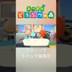 【あつ森】トイレで寝落ちするフランソワ