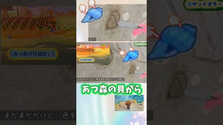 あつ森の貝がらを作った/モルタル #リアルあつ森 #庭作業