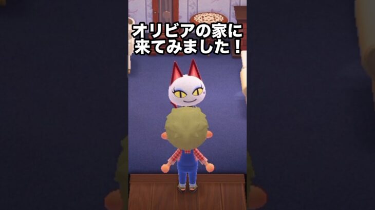 【あつ森】やべっ！あの住民の家に行ったら…