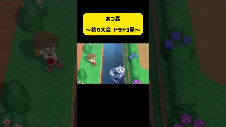 釣り大会の日は特別だなー　#あつ森