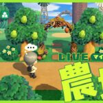 【あつ森】マイデザインなし島クリ第２弾🏝️ 可愛い農地づくりの続きから！！【島クリ雑談】