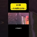 一緒にドキドキしよう( ´ ▽ ` )ﾉ #あつ森