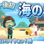 【あつ森】図鑑もイチから‼️海の幸の図鑑を埋めていく〜