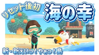 【あつ森】図鑑もイチから‼️海の幸の図鑑を埋めていく〜