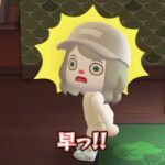 あつ森でめっちゃカメレオン(※無断転載は禁止です)#めっちゃカメレオン #あつ森