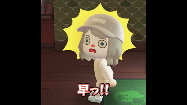 あつ森でめっちゃカメレオン(※無断転載は禁止です)#めっちゃカメレオン #あつ森