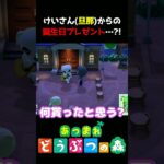 【あつ森】けいさん(旦那)から誕生日プレゼントに何貰ったでしょうかｗ