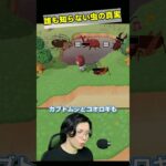 【あつ森】虫が嫌いすぎる人間のどうぶつの森実況