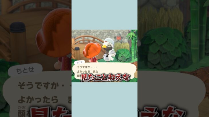 【あつ森】気付けばむちゃくちゃになってた別荘作り