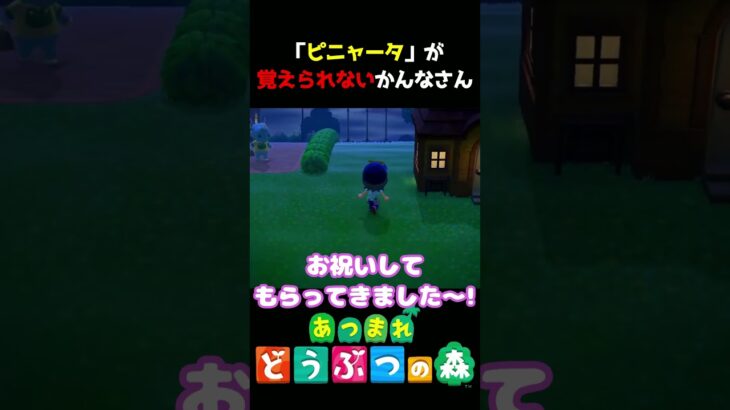 【あつ森】ピニャータが覚えられないかんなさん(笑)