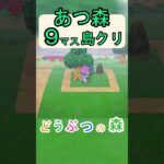【あつ森９マス島クリ】簡単にオシャレな雨宿りができる場所を作る島クリ！【あつまれどうぶつの森】#あつ森 #あつまれどうぶつの森