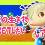 逃がさない見つけたい！【初見歓迎】【あつ森】