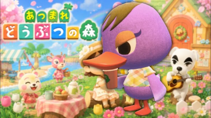 【あつ森】島クリ🏝️ 博物館を引っ越ししませうか？の巻  アッキーのまた〜り朝活配信！のんびり島生活🌿