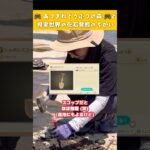 あつ森と現実世界の化石発掘のちがい🎮🪨🔨