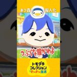 トモコレであつ森ののぶお作ったらこうなった