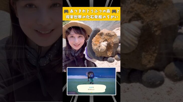 あつ森と現実の化石発掘のちがい🎮🪨🔨 #化石ハンター