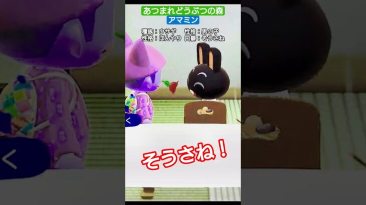 【#あつ森 】アマミン【#あつまれどうぶつの森 】