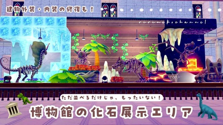 【ぽこポケ】ただ並べるだけじゃもったいない！博物館の化石展示エリア🌴🏛🦕