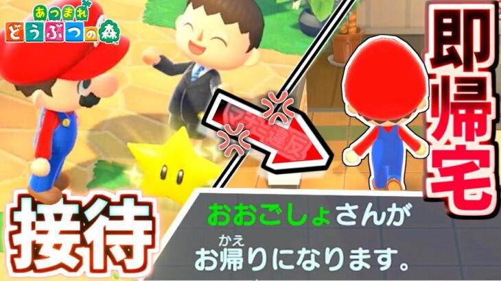 【あつ森】大御所マリオを怒らせたら即帰宅【あつまれどうぶつの森】
