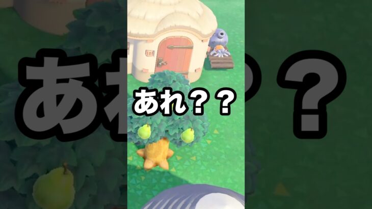 【あつ森】あれ！？あの住民が寝てたんだけど…