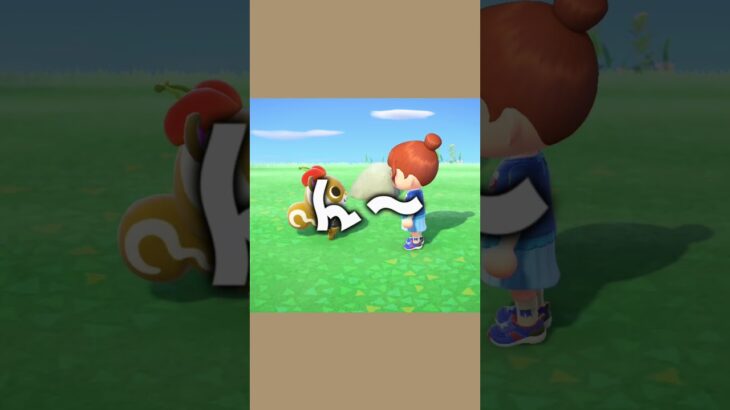 【あつ森】もんぺちゃん！監視をお願い！ #あつ森 #あつまれどうぶつの森 #ゲーム実況