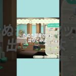 【あつ森】つぶまめたちが働く”道の駅”ならぬ”島の駅”作り！🏝️【ハッピーホームパラダイス】