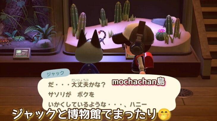 本編動画【あつ森】博物館で まったりサソリを見る🤣@たーさんの趣味の部屋 #たーさん昆虫記