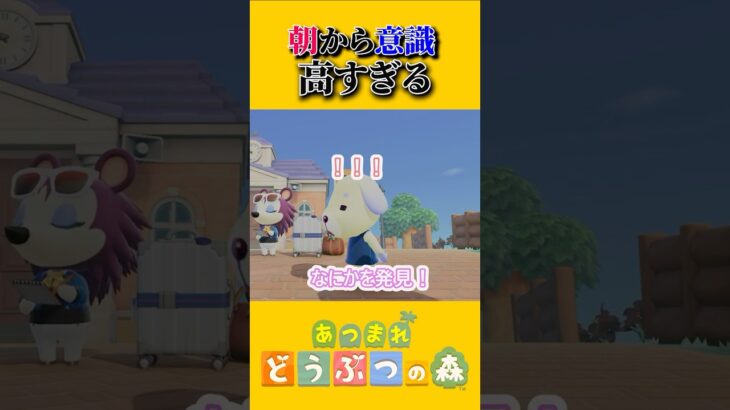 朝から気合が入っているバニラちゃん【あつ森】 #あつ森 #あつまれどうぶつの森 #ゲーム実況
