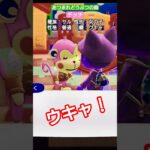 【#あつ森 】チッチ【#あつまれどうぶつの森 】