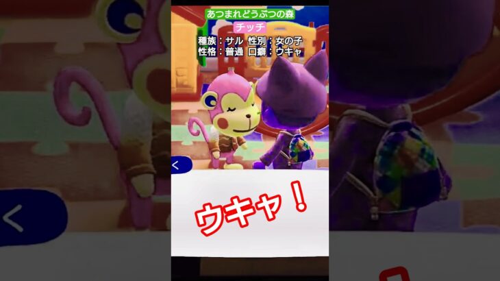 【#あつ森 】チッチ【#あつまれどうぶつの森 】