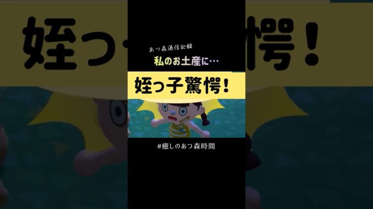 年の差なんて！姪っ子とのあつ森通信記録