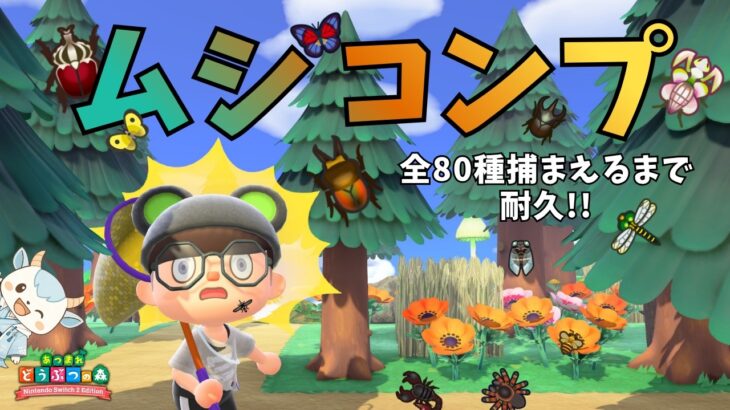 【耐久】全虫！８０種類全てのムシを捕まえるまで終われません！！！【再枠】【あつ森】