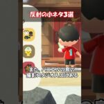 反射の小ネタ３選【あつ森】@ほのげ
