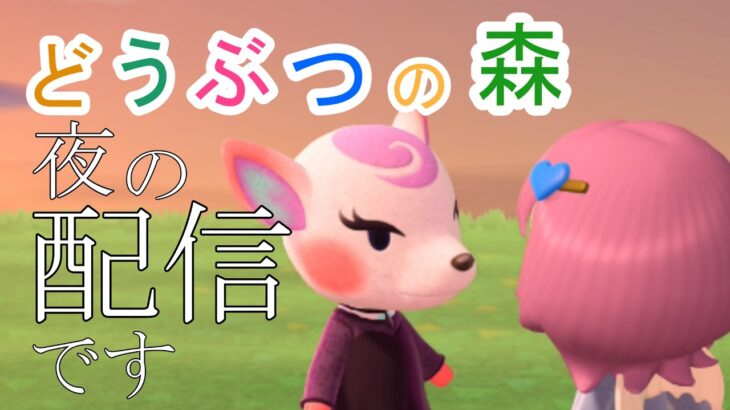 【初見さんも歓迎】あつ森でコメント読みながら島クリする！大きな橋を作る！【あつまれどうぶつの森】