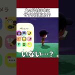 【あつ森】サソリから逃げた結果…
