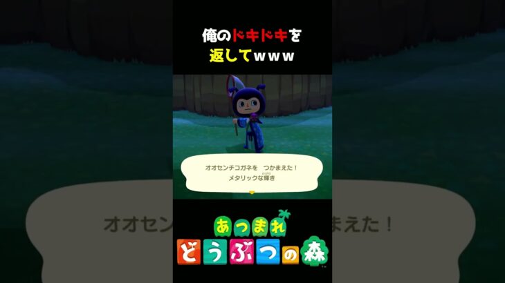【あつ森】俺のドキドキ返してｗｗｗ