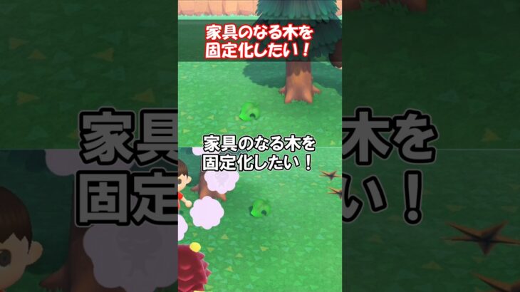 家具のなる木を固定化したい！ 【あつ森】@ほのげ