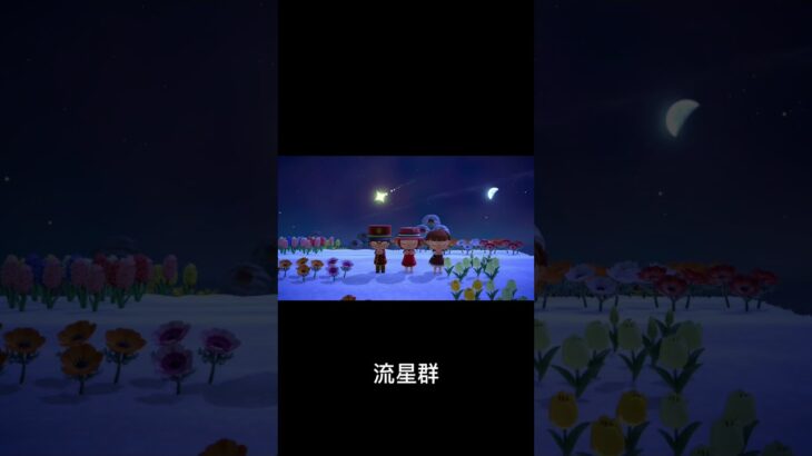 スプラからのあつ森