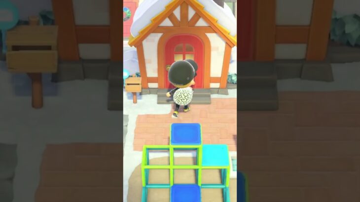 【あつ森】泥棒のお仕事